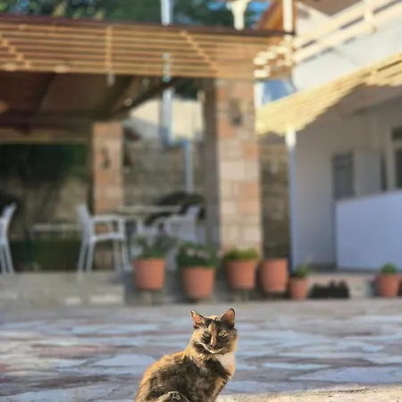 Josana Penzion *