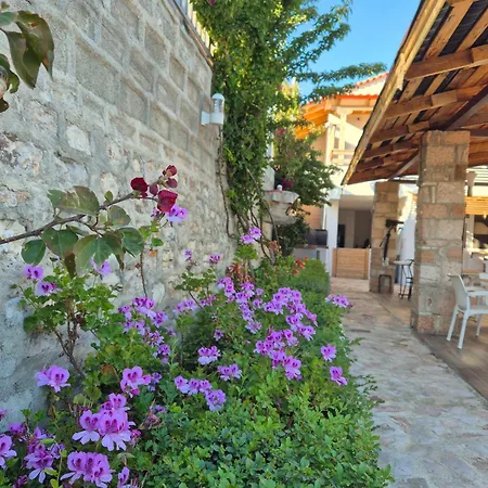 Guest house Josana