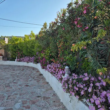 Josana * Sarande