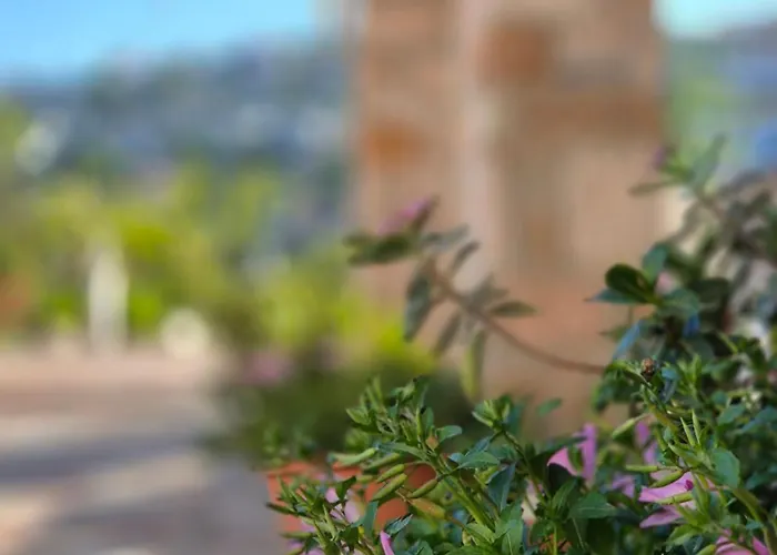 Josana Sarandë